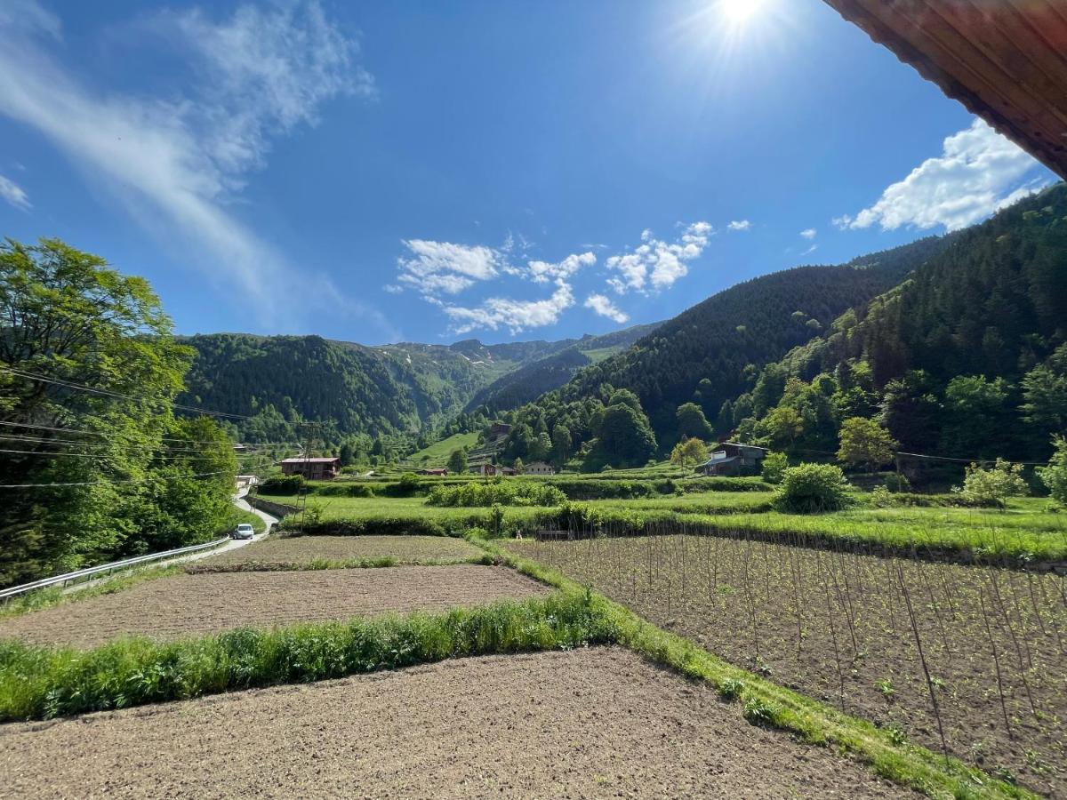 Oezer Apart Uzungol Exterior photo